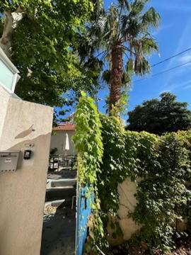 Bord de mer, magnifique appartement de 150m2 avec jardin Marseille Extérieur photo