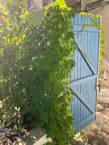 Bord de mer, magnifique appartement de 150m2 avec jardin Marseille Extérieur photo